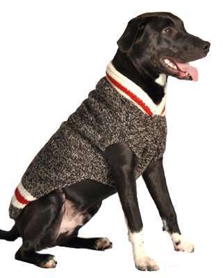 Hundepullover Arosa