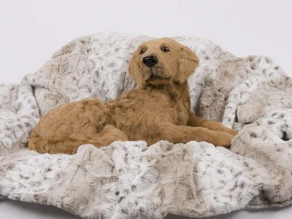Designer Hundedecke Super Soft - Snow Leopard
