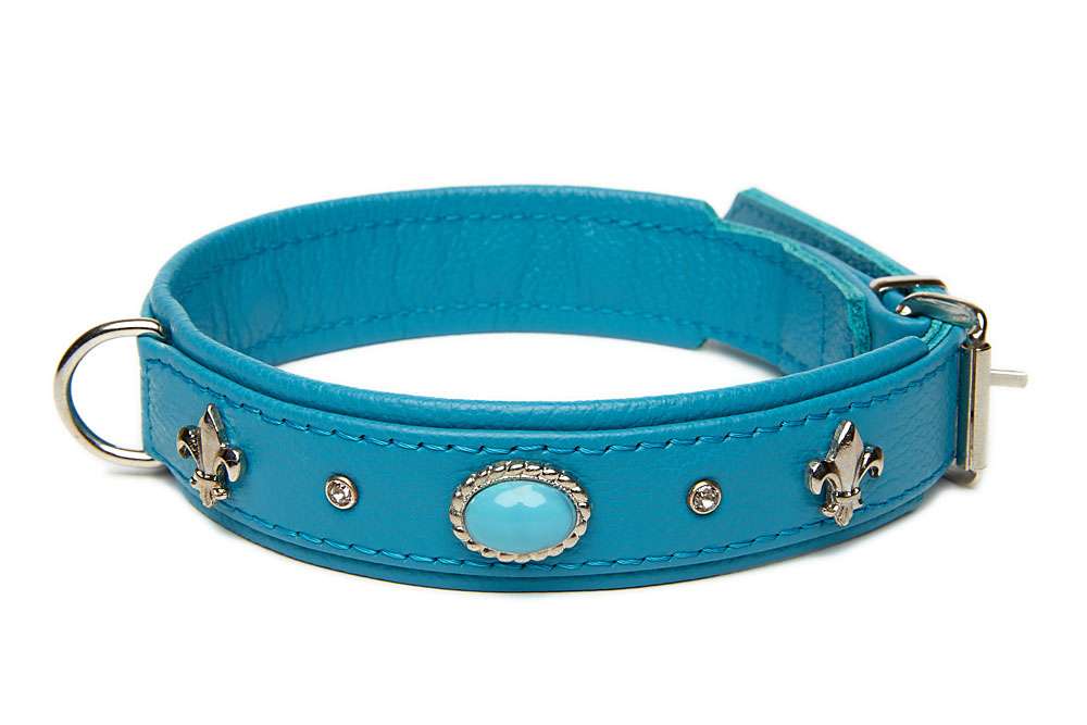 Hundehalsband Aus Leder Mit Nieten - Verstellbar & Stylisch