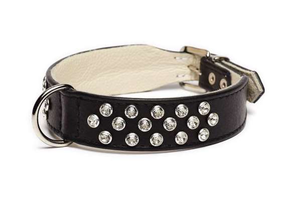 Hundehalsband Melrose Avenue - Black-Clear