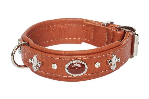 Hundehalsband Little Venice - Brown