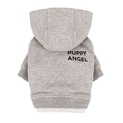 Designer Hunde-Sweater Angels Basic - Grau