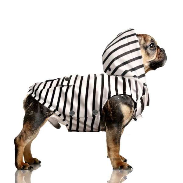 Rgenmantel Tribord Martimo Stripes - für Mops & Bully