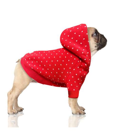 Hunde-Sweater Juliette