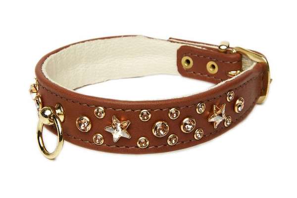 Hundehalsband Miami Star - Rehbraun-Topaz