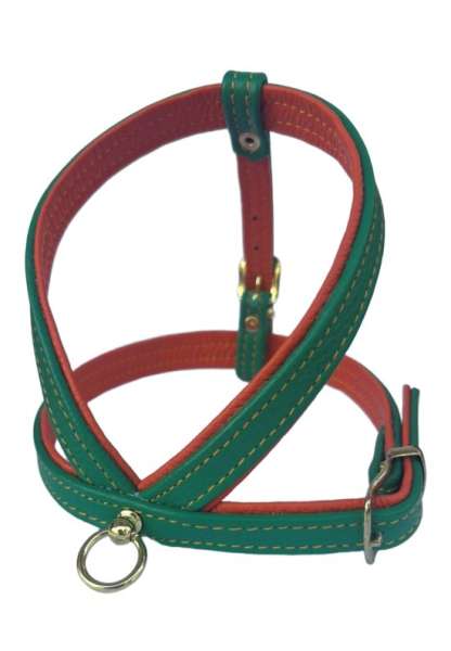 Hundegeschirr PURE - Grün-Orange