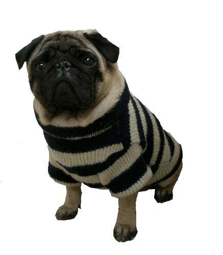 Hundepullover Kampen Navy-Crema