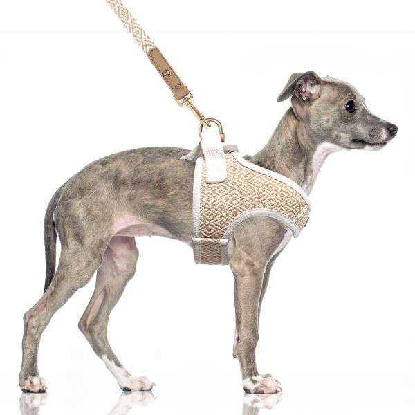 Softgeschirr Ibiza - Beige-Ecru