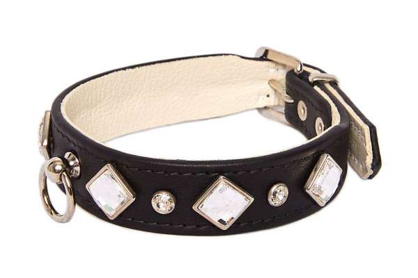 Hundehalsband Mirage - Black-Clear