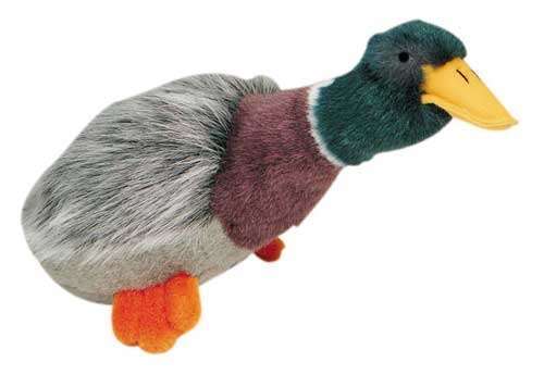 Hundespielzeug Mallard Duck