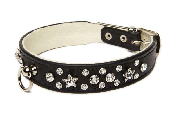 Hundehalsband Miami Star - Black