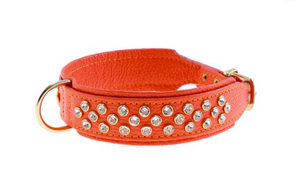 Hundehalsband Melrose Avenue - Orange