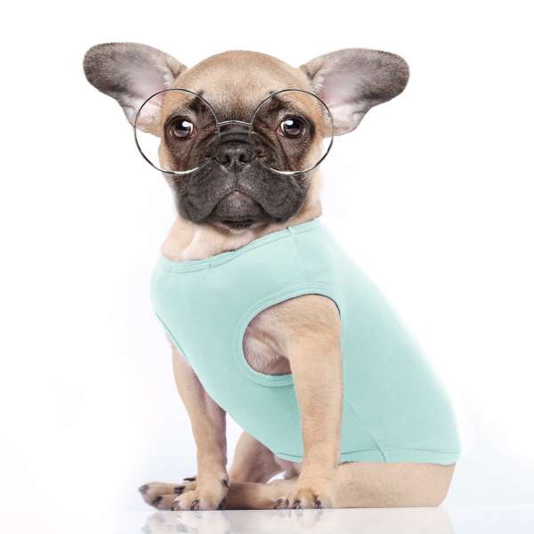 Hunde-Shirt Copacabana