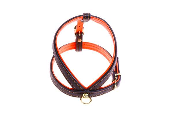 Hundegeschirr Pure - Dunkelbraun-Orange