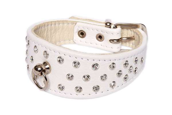 Hundehalsband 5th Avenue - Snowwhite-Silver