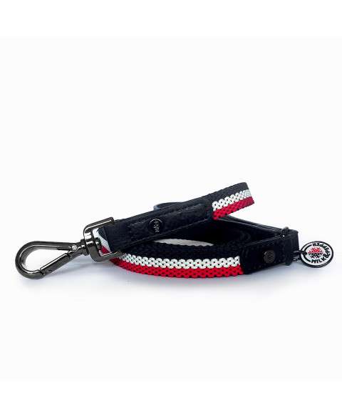 Hundeleine Tricolor