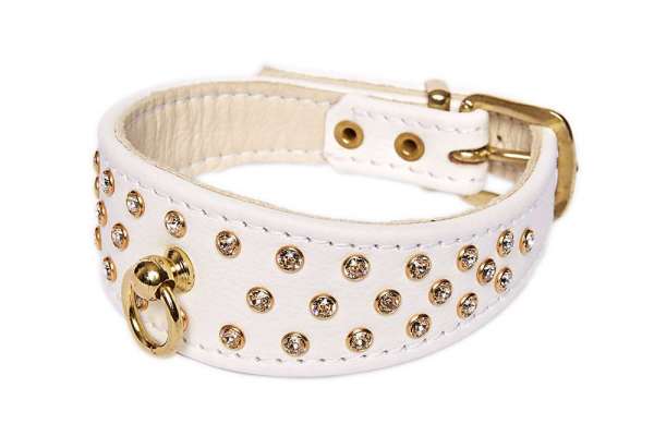 Hundehalsband mit SWAROVSKI ELEMENTS Vast Strass