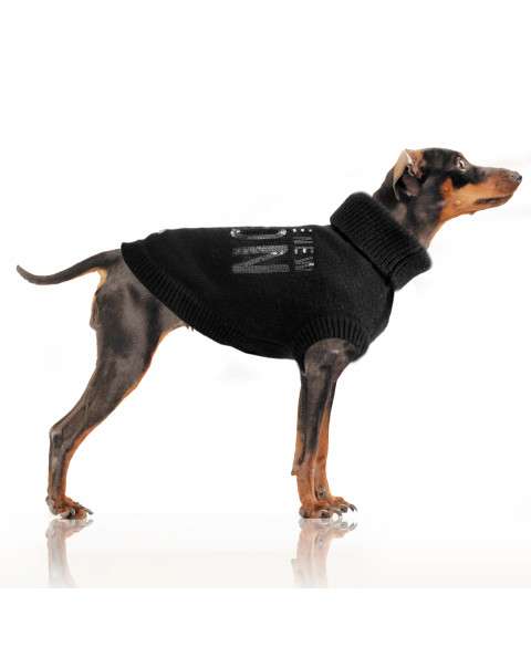 Hundepullover ICON - Black