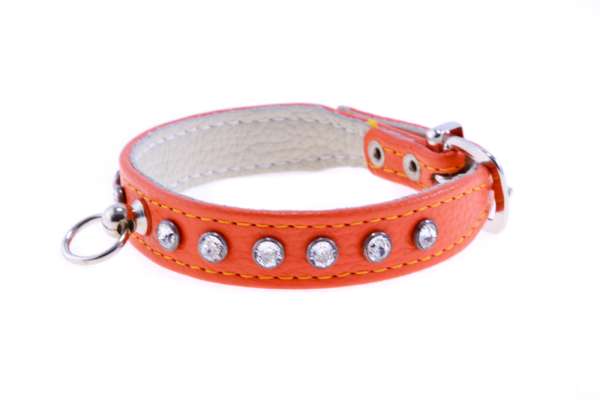 Hundehalsband Little Paris Deluxe 17mm - Orange-Silber