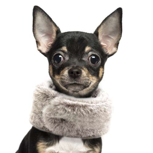 Hundeschal Ultra Soft - Grey