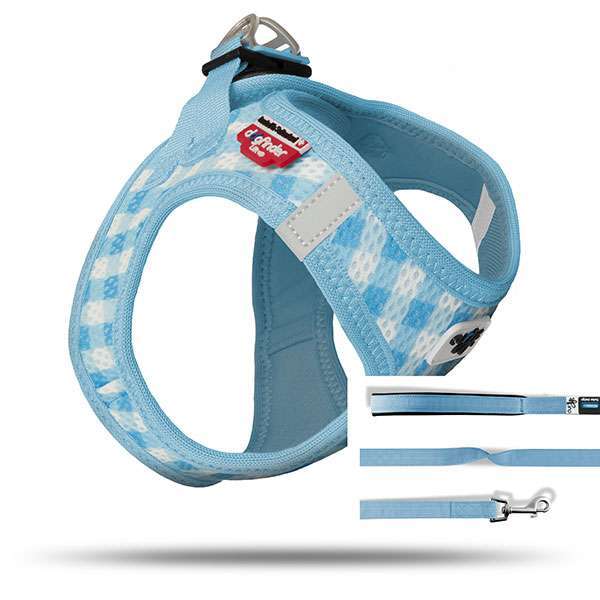 Welpen-Hundegeschirr-Leinen-Set Skyblue