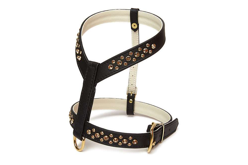 Exklusive Hundegeschirre Ledergeschirr für Hunde aus Elchleder mit