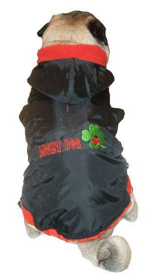 Hundemantel Lucky Dog 