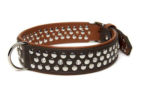 Hundehalsband Rockstar - Braun