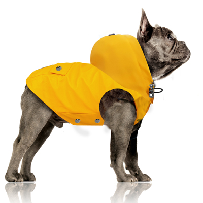 Hundemantel Regenjacke Fr Den Hund Leichter Regenmantel Fr Bully Mops  Jetzt Hier Online Kaufen