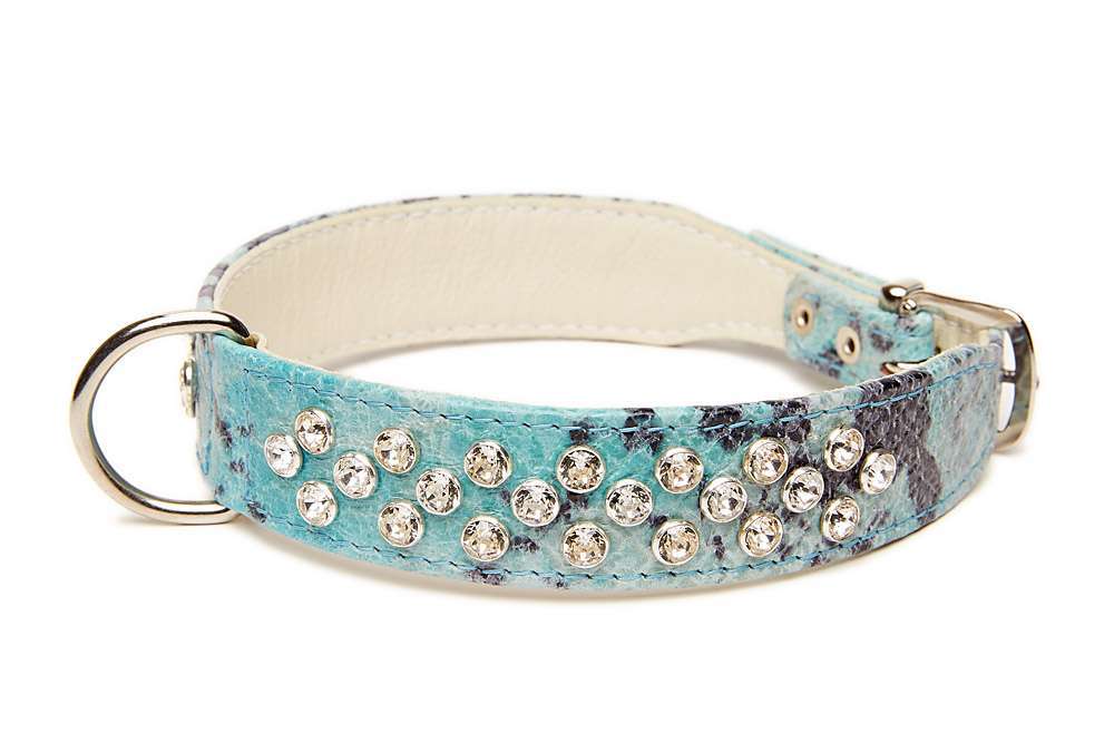 Creative Brands SB Design Studio Haustier-Halsband-Blume – 4,4 Cm Durchmesser, Orchidee, Elastisch, Für Hund & Katze