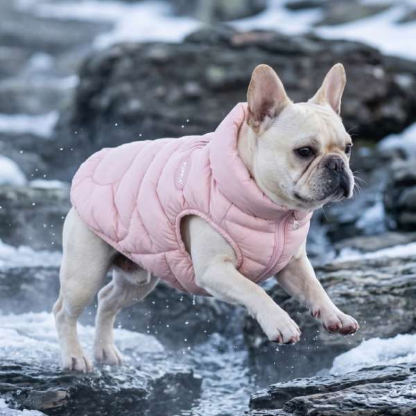 Hundejacke PUFFY JACKET - Rosa