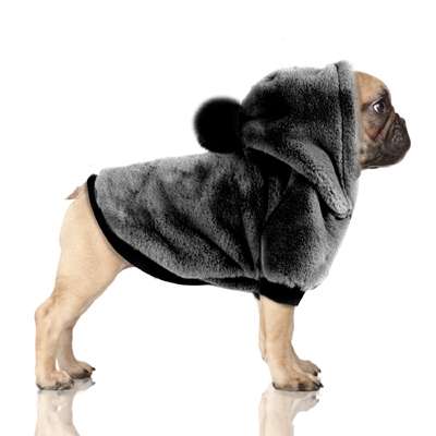 Hunde-Sweater CATHINKA - Grey - Bully / Mops