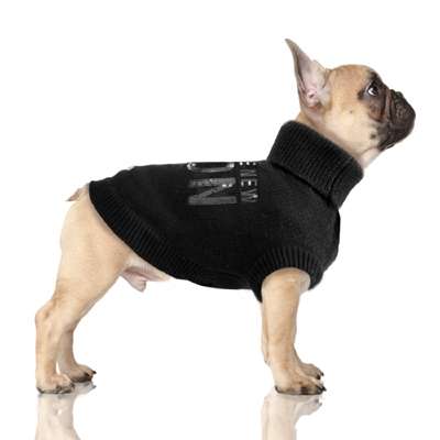 Hundepullover ICON -Black Bully / Mops