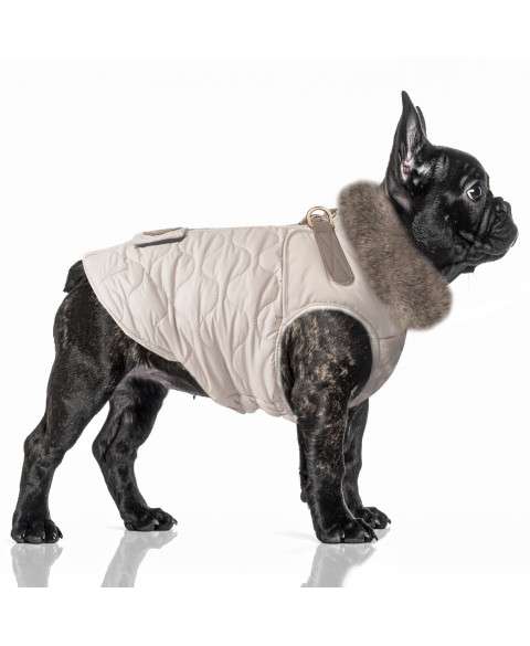 Hundemantel AGATHA für Mops & Bully