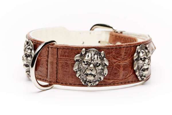 Hundehalsband Lionheart