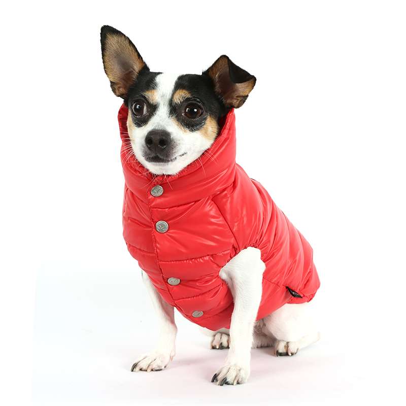 halsband hund mit namen Hundehalsband mit Griff mit Namen