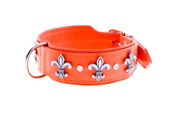 Hundehalsband Florenz - Orange