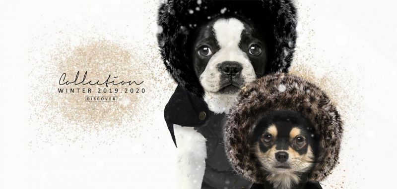 Hundebekleidung und exklusives Zubehör | Online Shop Society Dog Hundebekleidung und exklusives Zubehör | Online Shop Society Dog