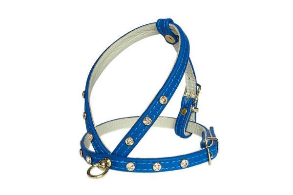 Hundegeschirr Shiny Petit - Cobalt Blue