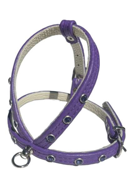 Hundegeschirr Shiny Petit - Lila