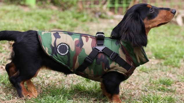 orthopdische hundekissen Wechselbezug fr runde orthopdische Hundebetten im tolle Boucl Stoff   YUNA