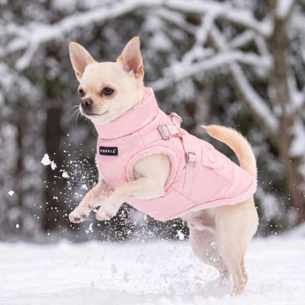 Hundejacke LUSTER - Rosa