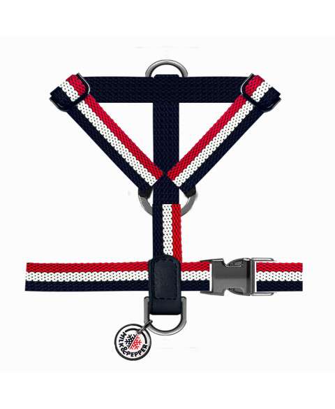 Hundegeschirr Tricolor - H-Form
