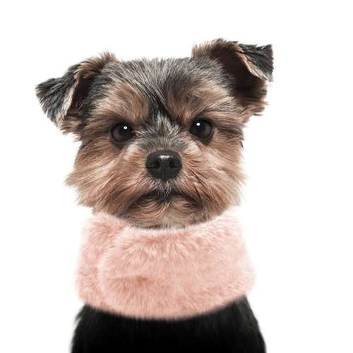 Hundeschal Ultra Soft - Rosa
