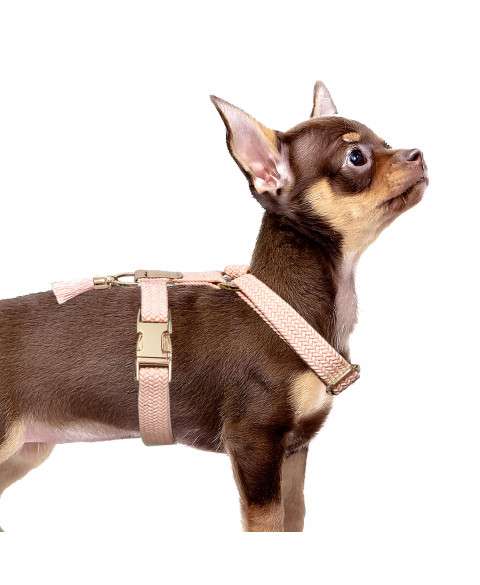 Hundegeschirr Tau Kaya - Rosa