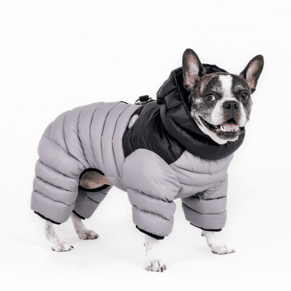 Schnee-Overall ALPINE - Grau