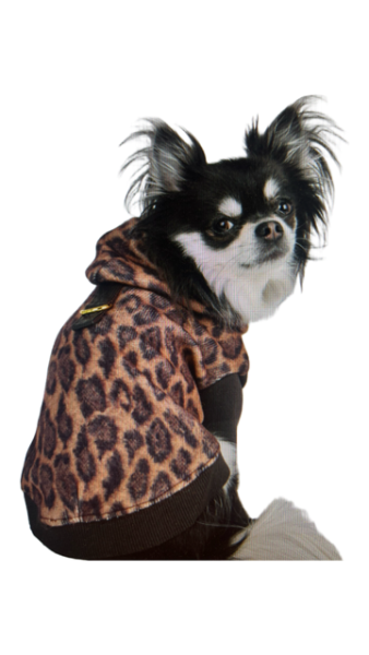 Hunde-Hoodie Kenzo - Brown