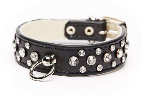 Hundehalsband Miami - Black