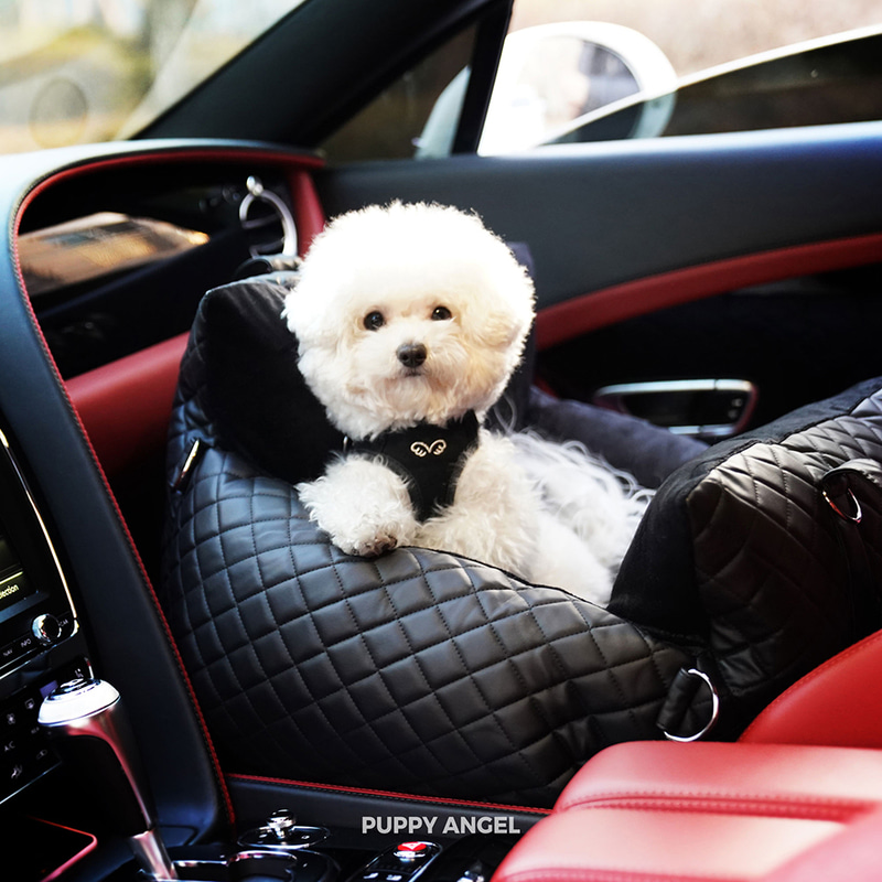Schwarzer Autositz für Hunde in Top Qualität jetzt hier bestellen