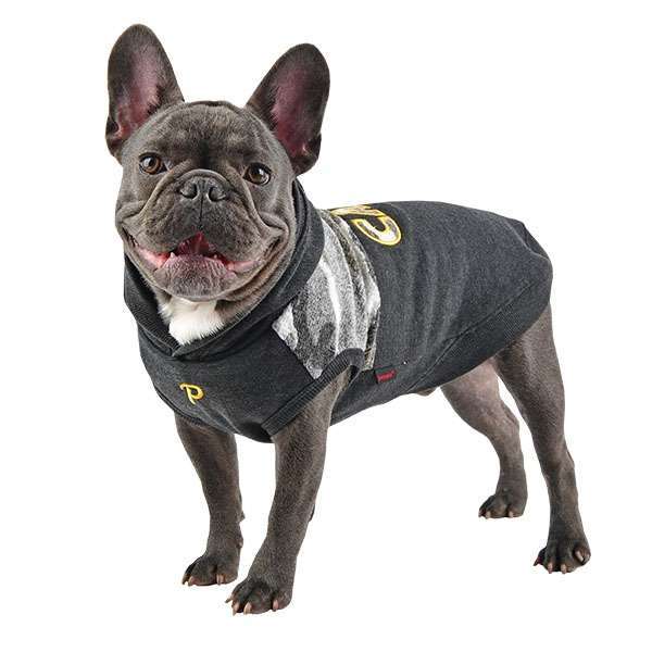 Hunde-Sweater CAMP - Grey